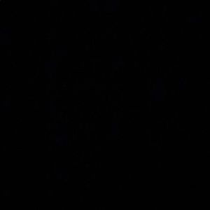 Meet your Posher, Riana